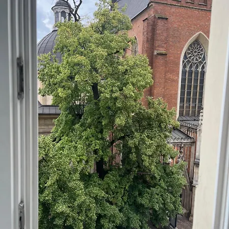 Dominican Square By Hashtag Cracovie